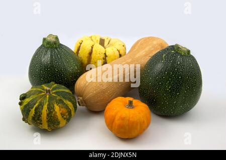 Still life on white of peanut pumpkins, round green zucchini and some small decorative pumpkins Stock Photo
