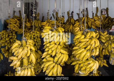 Variety of bananas in banana shop in Kerala, India Stock Photo