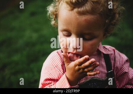 Adorable boy licking hands eating raspberries at farm with Lederhosen Stock Photo