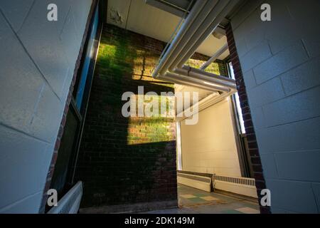 A Brick Wall With Moss Growing On It With a Nearby Window Casting Light and Shadows Stock Photo