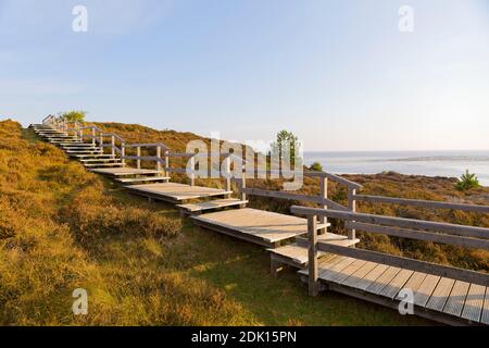 Wooden stairs in the Braderuper Heide, Sylt, Schleswig-Holstein, Germany Stock Photo