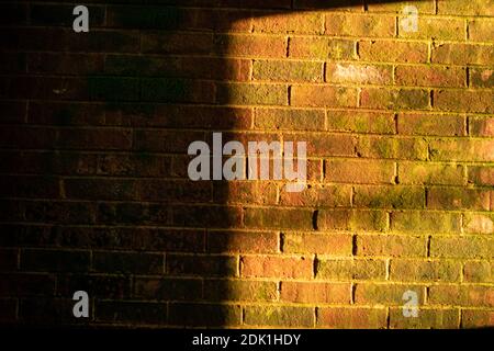 A Textured Brick Wall With Moss Growing on it and Half Lit by Orange Light Coming Through a Window Stock Photo