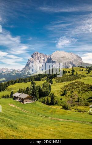 traditional mountain huts in the pastures of the alpe di siusi, with the Sassopiatto / Plattkofel in the background, province of bolzano, South Tyrol / Südtirol, Italy, Europe Stock Photo