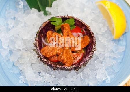 Sea urchin in a ceramic bowl with ice on. Sea urchin dish. Stock Photo