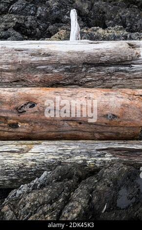 Driftwood logs piled up on the rocky shoreline - American Camp National Historical Park, San Juan Island, Washington, USA. Stock Photo