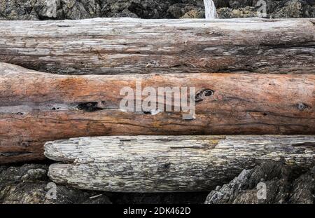 Driftwood logs piled up on the rocky shoreline - American Camp National Historical Park, San Juan Island, Washington, USA. Stock Photo