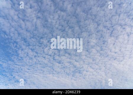 Beautiful mackerel sky or buttermilk sky of white clouds. High quality photo Stock Photo