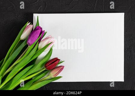 Flower composition with beautiful tulips on black background. Happy Easter card or for Mother's day holiday.  Stock Photo