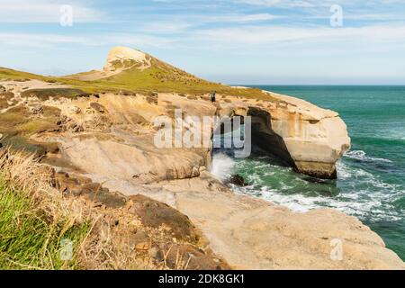 Steep coast at Tunnel Beach, Dudedin, Otago, South Island, New Zealand, Oceania Stock Photo