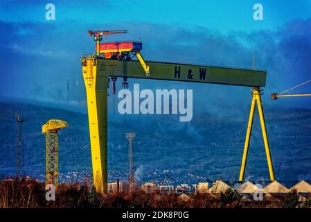 Sampson, one of two giant gantry cranes at Harland & Wolff shipyard in Belfast, Northern Ireland, birthplace of Olympic & Titanic. Along with it's old Stock Photo