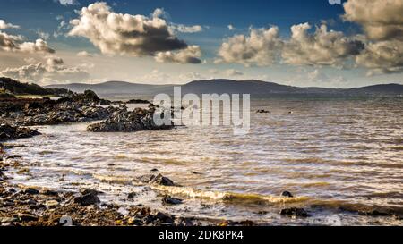 On the North Down Coastal Path along Belfast Lough between Helen's Bay and Seahill, County Down, Northern Ireland. Stock Photo