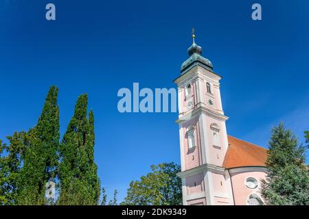 Germany, Bavaria, Upper Bavaria, Erding district, Forstern, district Tading, pilgrimage church of the Assumption Stock Photo