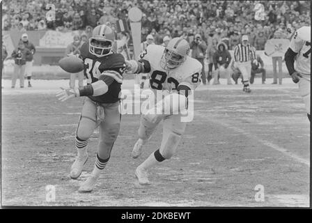 Cleveland Browns receiver Ozzie Newsom sits on the ground stunned as  Oakland Raiders celebrate after an interception by the Oakland Raiders  ended the playoff game between the Cleveland Browns and the Oakland