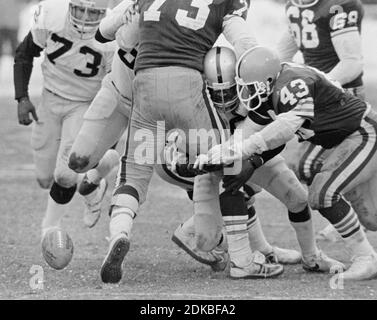 Oakland Raiders players Joe Campbell (77) and Steve Sylvester (66)  congratulate Mike Davis (36) after his interception of a pass by the Browns  Brian Sipe preserved the 14-12 win for the Raiders