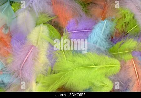 https://l450v.alamy.com/450v/2dkc6re/colorfully-feathers-background-high-resolution-2dkc6re.jpg