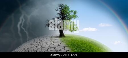 Tree on a globe in climate change Stock Photo