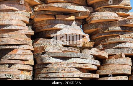 Closeup shot of sawed tree trunks in different sizes Stock Photo