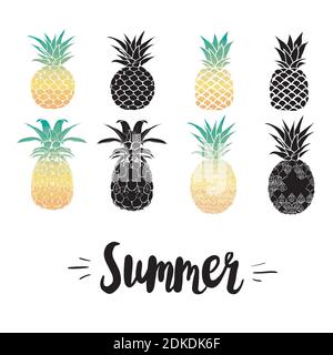 Pineapple vector black silhouette and sketch. Vector illustration. Stock Vector
