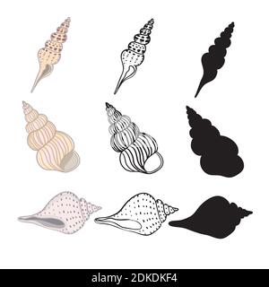 Hand drawn vector illustrations - collection of seashells. Marine set. Stock Vector