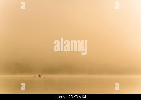 Anglers enjoy a ride on Sylvensteinspeicher in the early morning during sunrise, during fog and light mood. The fishing rods stand vertically in the boat and wait to be used. Stock Photo