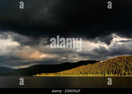 Storm clouds and light mood over Altlach, on the Walchensee in the Bavarian Alps, the Karwendel and Ester Mountains. Intense sunlight illuminates sections of the forest while dark storm clouds shade the rest. Stock Photo