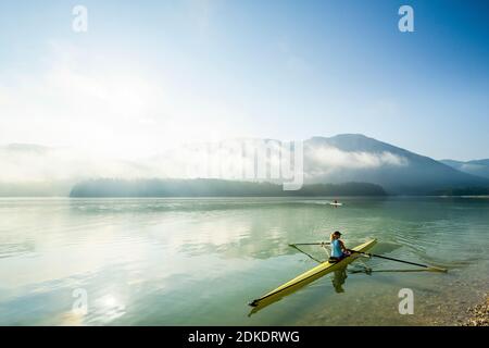 Kayakers or racing skiff drivers with special competition boats enjoy a ride on Sylvensteinspeicher in the early morning during sunrise, during fog and light. Stock Photo