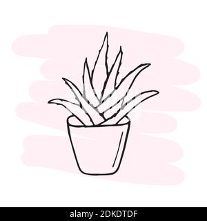 Aloe vera contour drawing. Separate vector illustration. Doodle Stock Vector