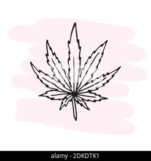 Outline drawing. Hemp leaf Medical cannabis
