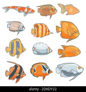 various types of fish, isolated in white background Stock Vector