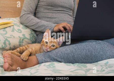 Young Caucasian woman, with glasses, sitting on the double bed in her bedroom, teleworking with her laptop and a notepad, next to her little cat. Stock Photo
