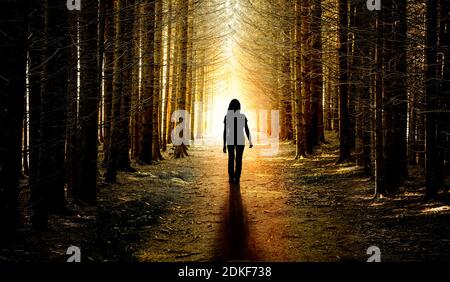 Woman on a forest path - from dark to light Stock Photo