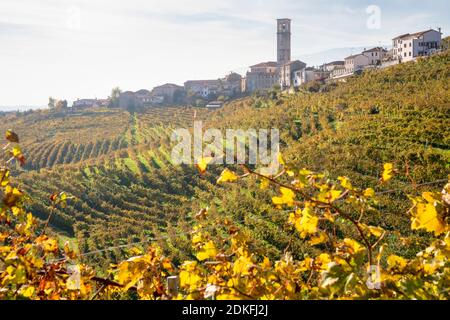 the hamlet of San Pietro di Barbozza surrounded by vineyards, Valdobbiadene, province of Treviso, Veneto, Italy Stock Photo