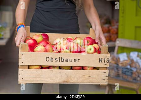 Peasant woman carries a wooden box with apples, Bückeburg, Lower Saxony, Germany Stock Photo
