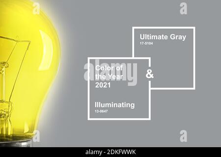Half glowing light bulb on the gray background. Colors of the year 2021. Stock Photo