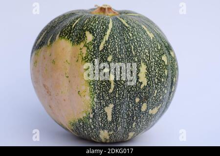 Pumpkin Raw Indan fruit also used as vegetable for lunch dinner curry preparation. . Green round pumpkin had yellow pulp inside. Indian fruit green pu Stock Photo