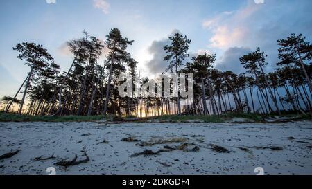 Germany, Mecklenburg-Western Pomerania, Prerow, sunrise on the west beach, Baltic Sea Stock Photo