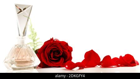 Old Perfume Bottle Present with Rose Petals Panorama isolated on white Background Stock Photo