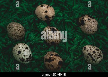 Quail eggs on green background nest Stock Photo