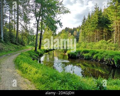 Schwarzenbergscher Schwemmkanal on the Austrian-Czech border in St. Oswald  near Haslach Stock Photo - Alamy