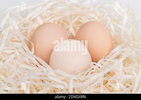 Raw brown and white eggs in nest made of staw shreded paper. Stock Photo