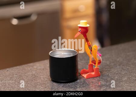 bobbing bird drinking water