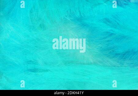 Blue feathers background - High resolution Stock Photo