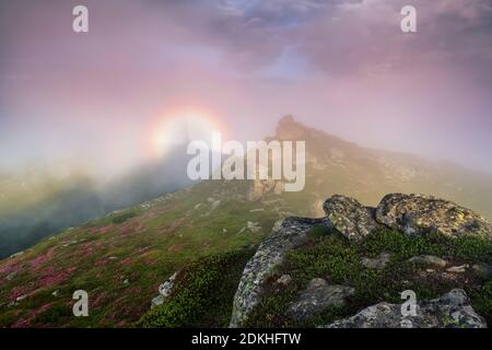 Brocken Spectre in the meadow among the highest mountains, fog and pink ...