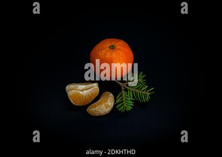 Tangerine and spruse twig laying on black. Christmas mandarine isolated on dark background  Stock Photo