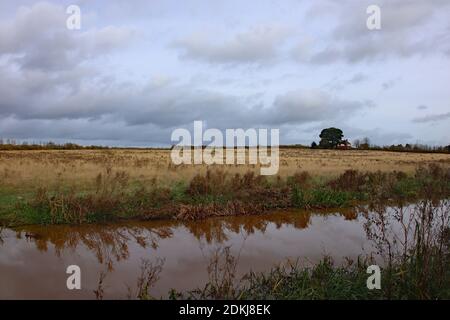 View of the landscape by the murky water of the Bridgewater and Taunton canal in Somerset Stock Photo