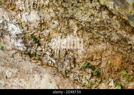 grey yellow rock Stock Photo