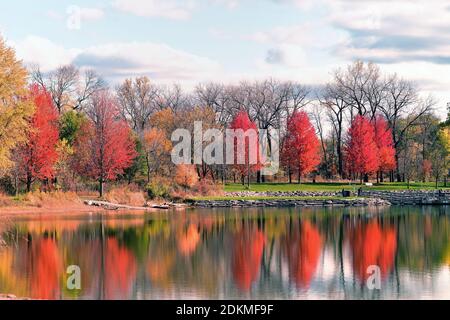Wayne, Illinois, USA. Trees whose leaves have turned an autumn's burnt orange reflect into the still waters of a lake in northeastern Illinois. Stock Photo