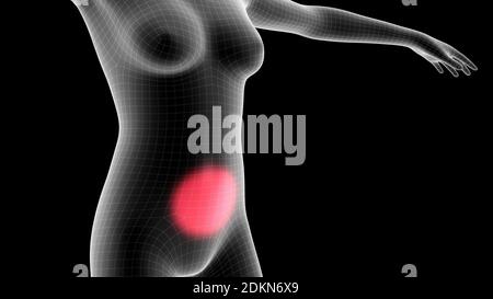 3d illustration of a woman xray hologram showing pain area on the chest area Stock Photo