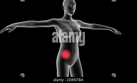 3d illustration of a woman xray hologram showing pain area on the chest area Stock Photo