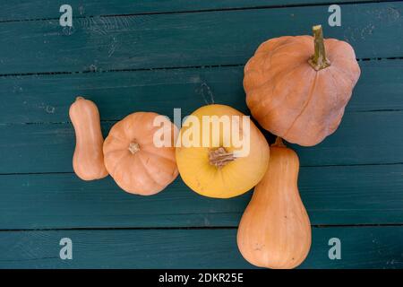Various pumpkins on the table Stock Photo